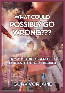 What Could Go Wrong Cover